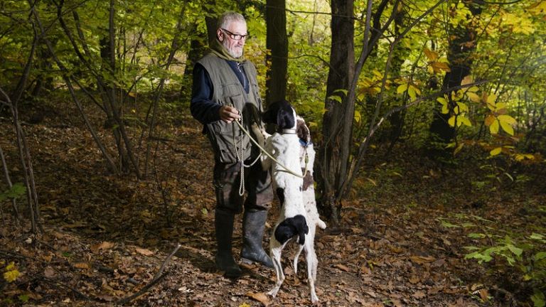 la scelta e l addestramento del cane da tartufo pg magazine