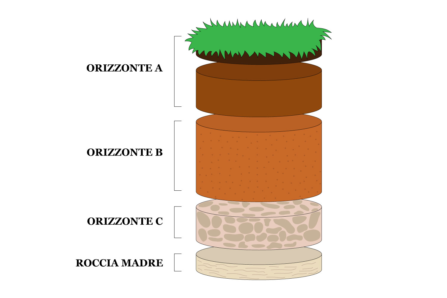 La Struttura Della Litosfera Suolo Rocce E Minerali