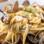 Vongole Blonco, pasta with clam shellfish