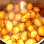 Alborelle e polenta alla maniera Trentina