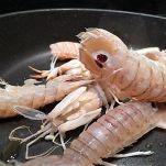 Anelli di riso con scampi e gamberi