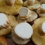 Brasato di manzo alle cipolle