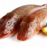 Coccio all’acqua pazza