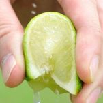 Dolce al lime con sorbetto di mango