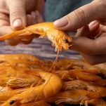 Gamberi bolliti vengono puliti da una donna