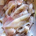 Frittura di calamari