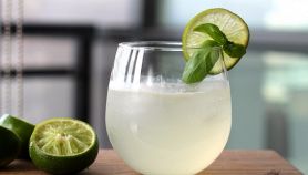 Cocktail Gimlet