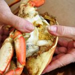 Granseole alla Triestina