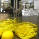 Limoncino