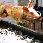 Maialino da latte al mirto