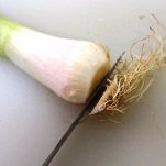 Manzo alla valtellinese