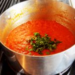 Orecchiette al pomodoro e cacioricotta