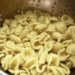 Orecchiette al pomodoro e cacioricotta