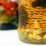 Pannocchie di mais agrodolci nel barattolo
