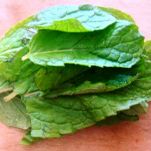 Salsa di menta e prezzemolo