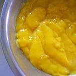 Sorbetto al mango