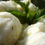 Sorbetto alla menta