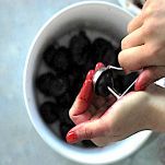 Sorbetto allo cherry brandy