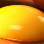 Soufflè di formaggi