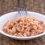 Tonno otto'olio sminuzzato nel piatto con forchetta