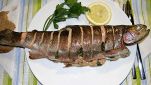 Trota salmonata al Marsala