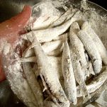 Alborelle in carpione