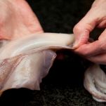 Calamari alle olive e pomodori