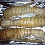 Canocchie alla viareggina