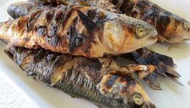 Cefaletti alla griglia