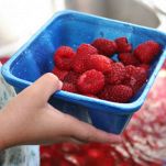 Cocomero ripieno di lamponi e di gelato