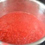 Cocomero ripieno di lamponi e di gelato