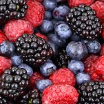 Coppa ai frutti di bosco