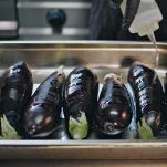 dreamstime_m_356954222