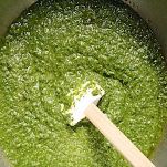 Farfalle con pollo e pesto