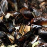 Focaccine alle cozze