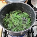 Gnocchi di borragine