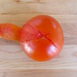 Insalata aromatica di cannellini