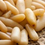 Maccheroncini al sugo di noci