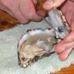 Ostriche al naturale