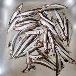 Parmigiana di sarde e melanzane