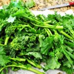 Pasta ricotta e broccoletti