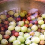 Pernici su crostoni all&#8217;uva