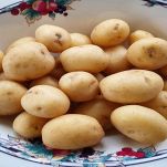 Patate novelle crude da cuocere