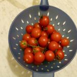 Pomodori ripieni con maccheroncini