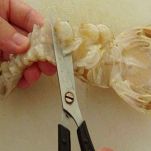 Risotto alle canocchie