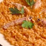Risotto alle canocchie