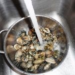 Risotto alle telline