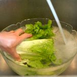 Risotto Van De Velde