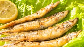 Ricetta Sarde in salmi