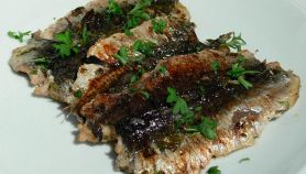 Sardoni in teglia alla romagnola